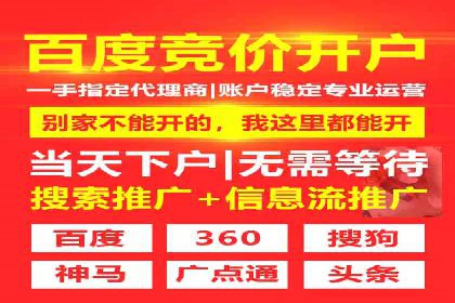 竞价推广策略解析：实战案例分析